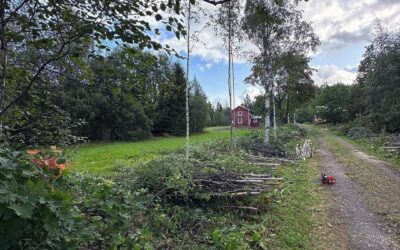 Grängesberg Före & Efter